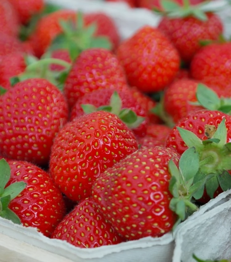 fraises sur le marché